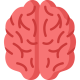 brain brain